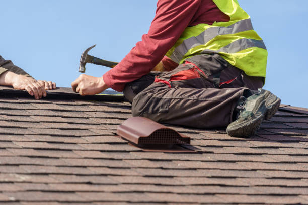 Best Gutter Installation and Roofing  in Leesburg, GA