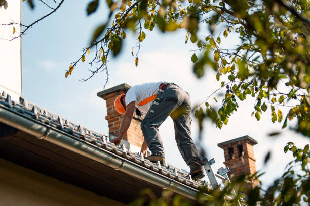 Best Storm Damage Roof Repair  in Leesburg, GA