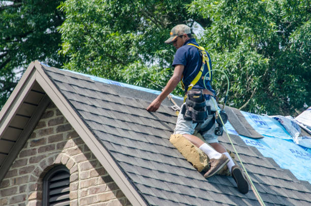 Best Affordable Roofing Company  in Leesburg, GA