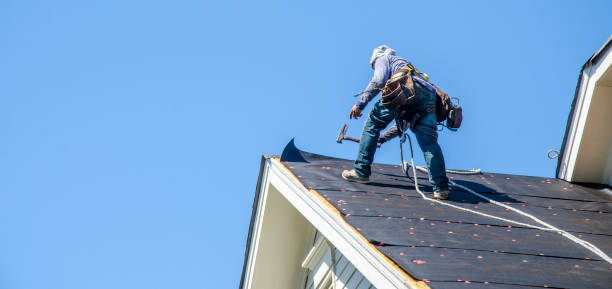 Best Roof Inspection Near Me  in Leesburg, GA